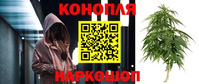apvp Дубна