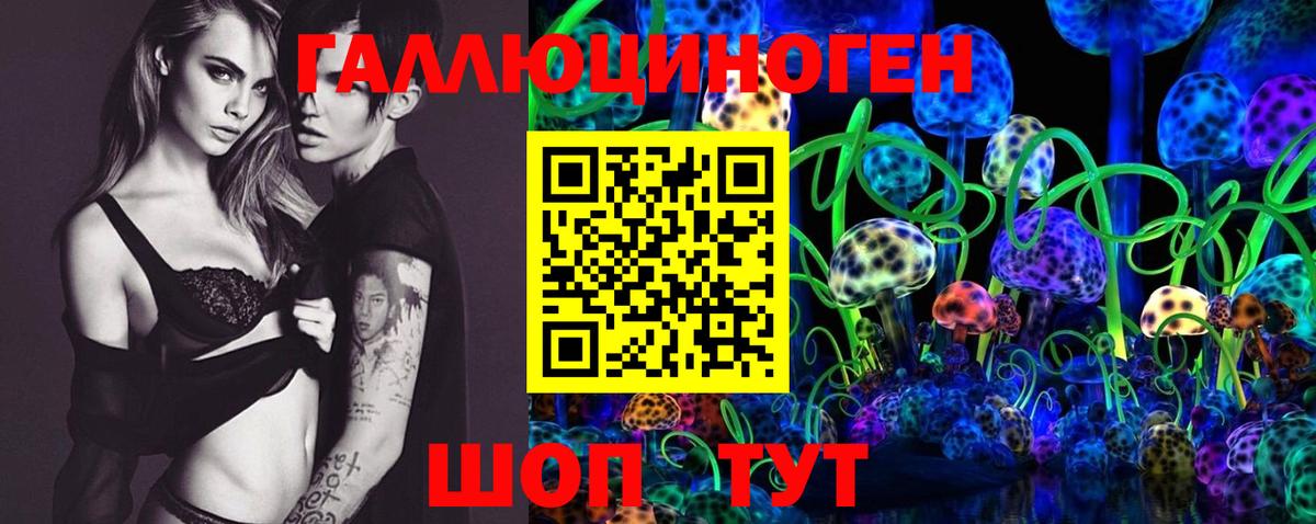 Псилоцибиновые грибы Cubensis Медногорск