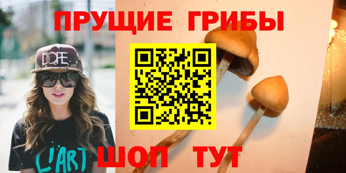 Галлюциногенные грибы Psilocybine cubensis  Вход с VPN  Медногорск 